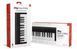 MIDI клавіатура IK Multimedia iRIG KEYS 2 Mini 40039 фото 3