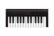 MIDI клавіатура IK Multimedia iRIG KEYS 2 Mini 40039 фото 1