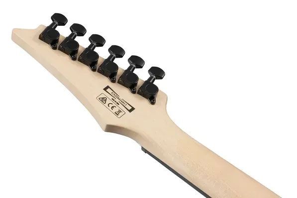 Електрогітара Ibanez GRG120QASP-BGD 234183 фото