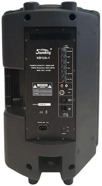 Акустична система Soundking KB12A-1 33754 фото