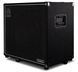 Гітарний кабінет AMPEG SVT-15E 39089 фото 3