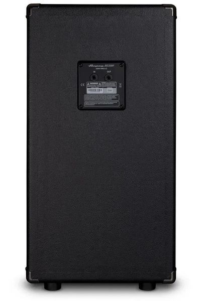 Гітарний кабінет AMPEG SVT-210AV 39091 фото