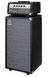 Гітарний кабінет AMPEG SVT-210AV 39091 фото 2