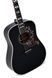 Акустична гітара Sigma DM-SG5-BK (Fishman Sonitone) 126578 фото 4