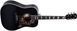 Акустична гітара Sigma DM-SG5-BK (Fishman Sonitone) 126578 фото 3