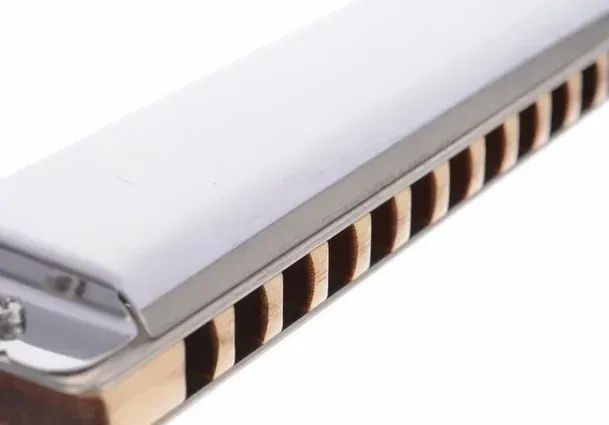 Губна гармошка Seydel Solist Pro 12 Steel C-major 37044 фото